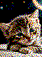 Katze Kreativvorlage in MINI