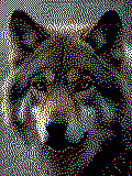 Wolf Kreativvorlage in MAXI