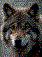 Wolf Kreativvorlage in MINI