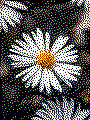 Blume als Kreativvorlage