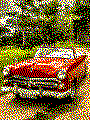 Oldtimer als Kreativvorlage